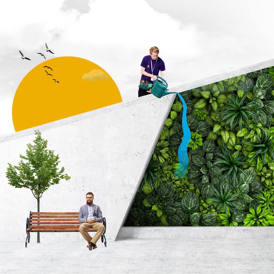 A Mitie employee waters a green living wall, with a yellow sun behind