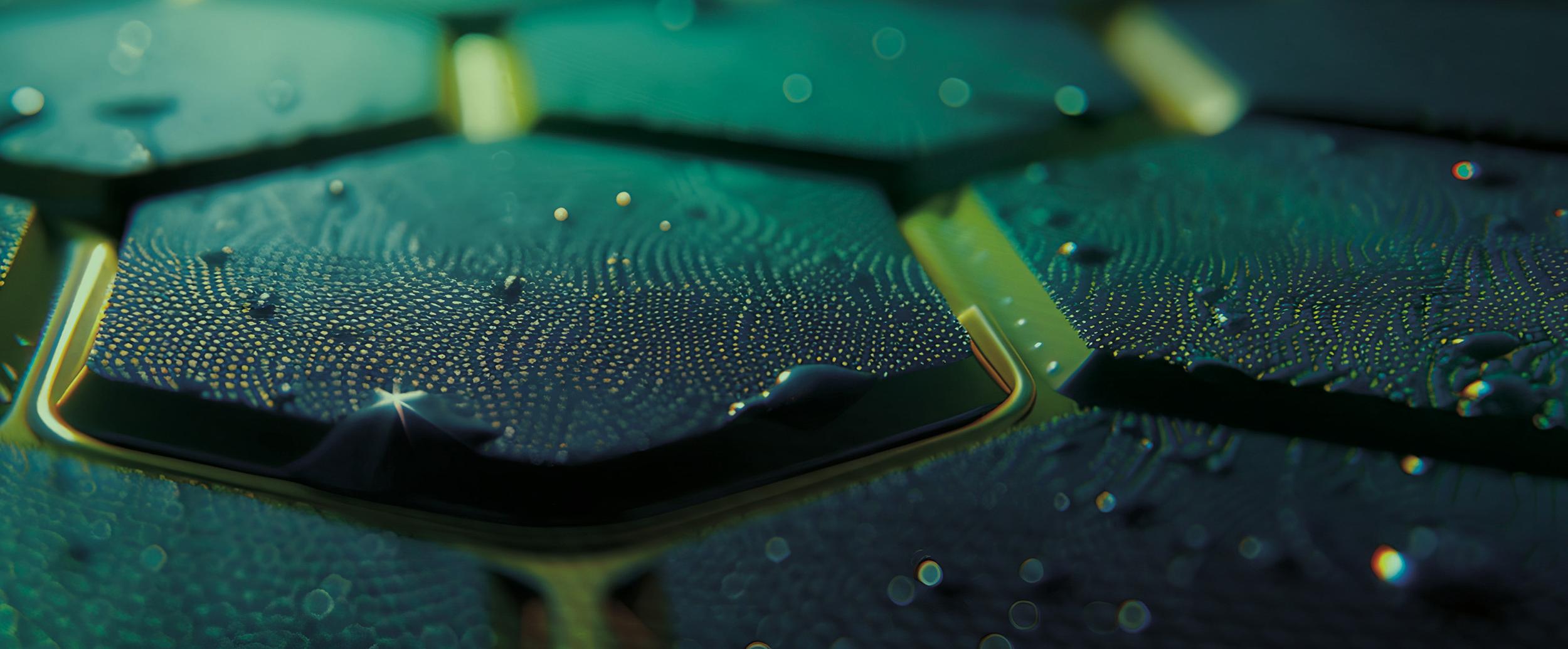 Close up of a green hexagonal cells